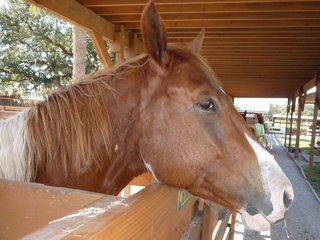 River Ranch 11-08-037-t.jpg