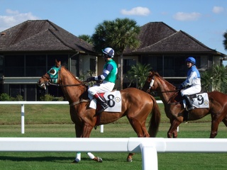 Steeplechase%2011-08-022-t.jpg