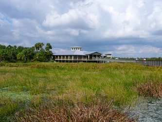 Wetlands-t.jpg