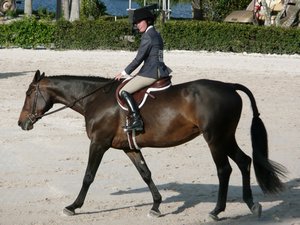 Winter_Equestrian_Festival-08-002-t.jpg